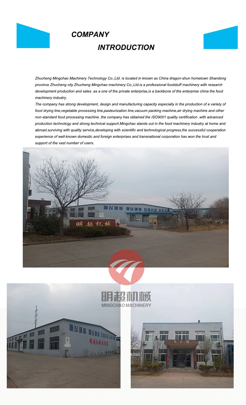 Industrial Hot Air Belt Drying Equipment Food Drying for Sale